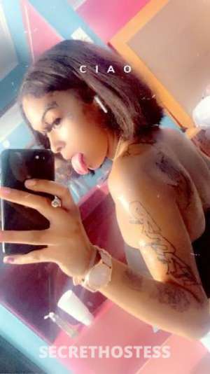 Latina 22Yrs Old Escort Memphis TN Image - 3