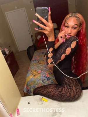 Trophy 20Yrs Old Escort Inland Empire CA Image - 3