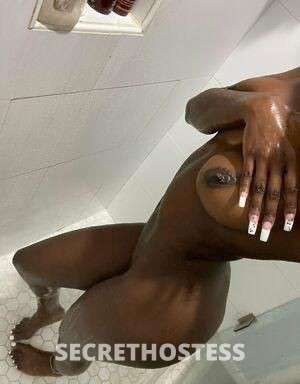 26 year old Caribbean Escort in West Palm Beach FL Sizzling Caribbean Pleasure 4U