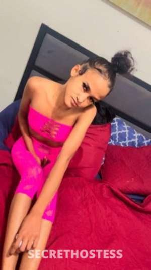 Layla 22Yrs Old Escort San Diego CA Image - 2