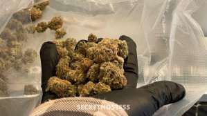 STACY 30Yrs Old Escort Las Vegas NV Image - 2