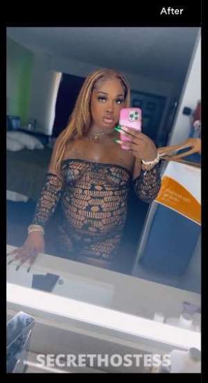 Tslilbabe 27Yrs Old Escort Pensacola FL Image - 1