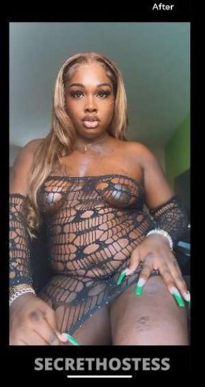 Tslilbabe 27Yrs Old Escort Pensacola FL Image - 5
