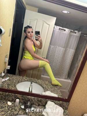 21 year old Escort in Seattle WA Exceptional Adventures Snohomish, King, Skagit, Whatcom, 