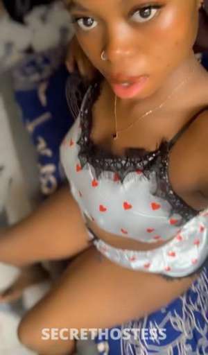 Nessa 24Yrs Old Escort Albany NY Image - 1