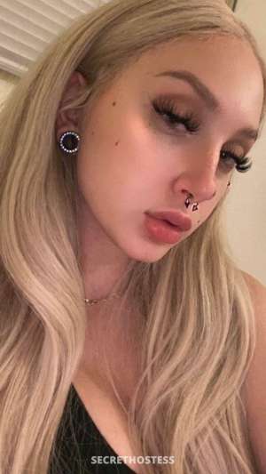 Alicia 27Yrs Old Escort Size 6 167CM Tall Edmonton Image - 3