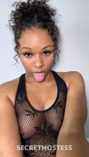 Ashley 27Yrs Old Escort Clarksville TN Image - 3