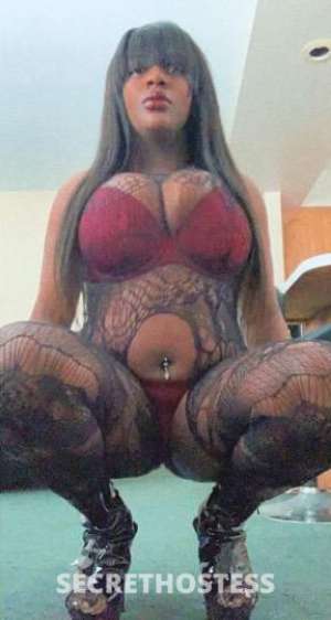 Aysia 25Yrs Old Escort Grand Rapids MI Image - 4