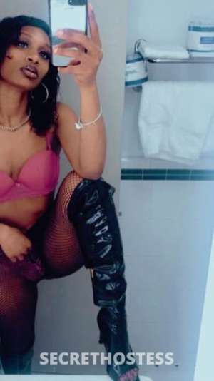 Livvy 24Yrs Old Escort South Jersey NJ Image - 1
