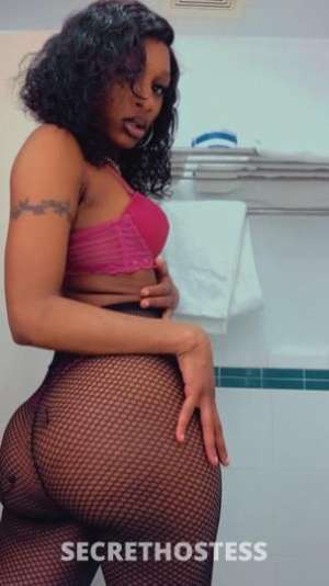 Livvy 24Yrs Old Escort South Jersey NJ Image - 4