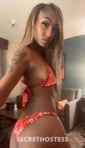 Pursuae 24Yrs Old Escort Modesto CA Image - 3