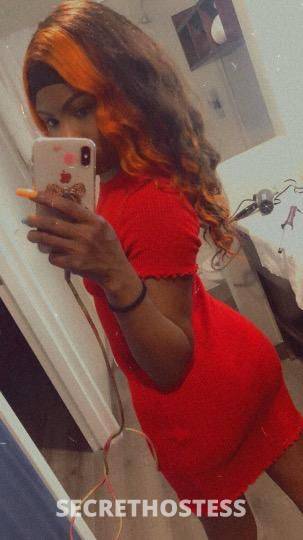 Coco 26Yrs Old Escort Concord CA Image - 1