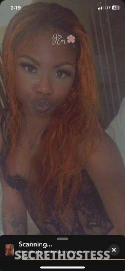 Coco 26Yrs Old Escort Concord CA Image - 5