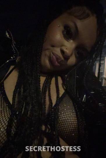 Tinka 21Yrs Old Escort Concord CA Image - 3