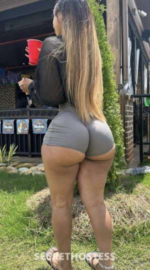 25 year old Hispanic Escort in Indianapolis IN scrumptiou