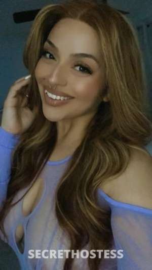 22 year old Latino Escort in San Francisco CA succulent Latina Ivy