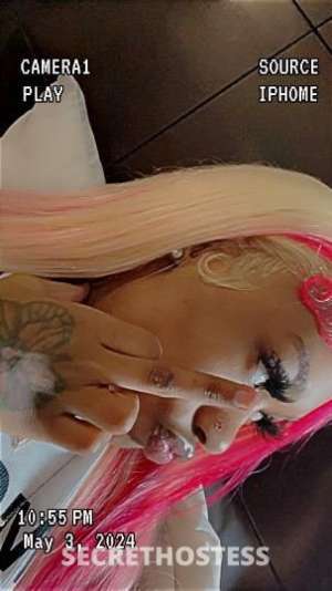 Mercedez 19Yrs Old Escort Little Rock AR Image - 5
