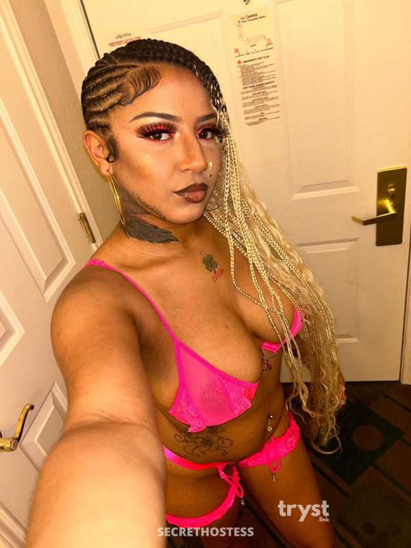 Chantel 20Yrs Old Escort Size 6 Houston TX Image - 11