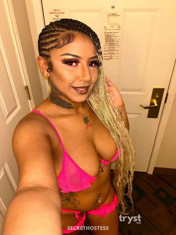 Chantel 20Yrs Old Escort Size 6 Houston TX Image - 12