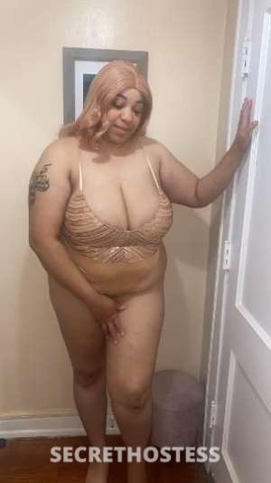 Egypt,Elani 34Yrs Old Escort Chicago IL Image - 4