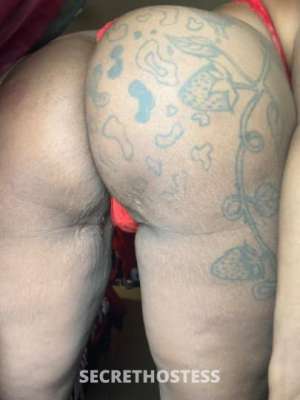 26 year old Escort in Tampa FL Stacey The Rose-Priced Erotic Thriller