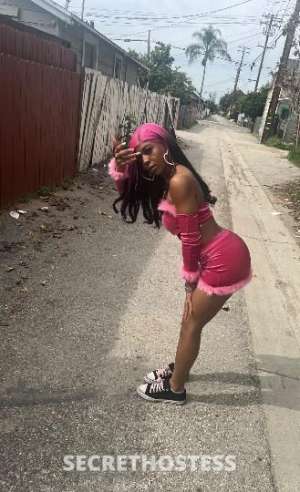 WetNWild 22Yrs Old Escort San Diego CA Image - 2