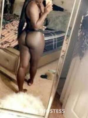 29 year old Caucasian Escort in Raleigh NC Captivating Sexy Chocolate Indulge in Unforgettable 