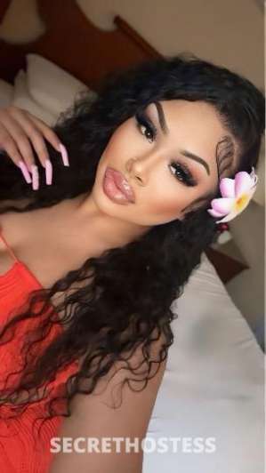 24 year old Guatemalan Escort in Honolulu HI Guatemalan Queen The Ultimate Esco