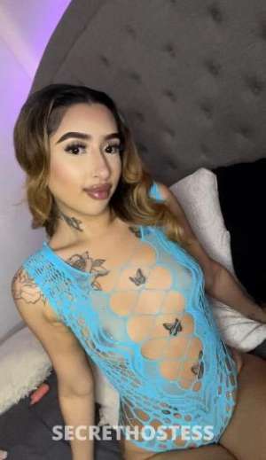 20 year old Escort in San Diego CA Lily Sweet Treat with a GORGEOUS Face for 5-star Experience