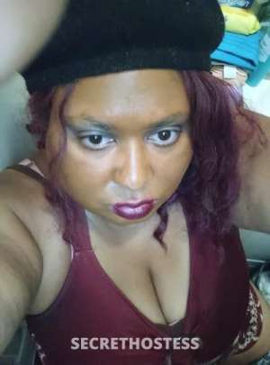 27 year old Escort in Los Angeles CA w Booking Erotic Incalls for Respectful Gentlemen 21+ -Rules