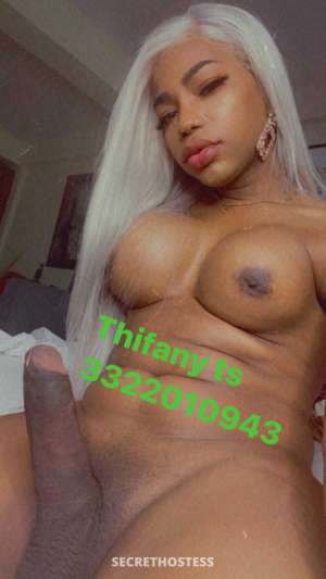 23Yrs Old Escort Bronx NY Image - 2
