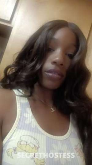 Harlee 25Yrs Old Escort Central Jersey NJ Image - 6