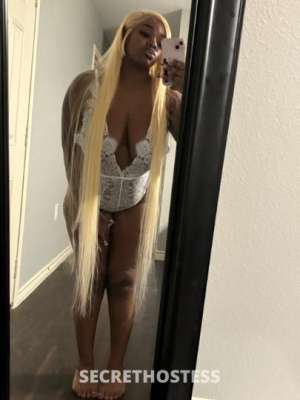 Meeting Honey, Your Delicious and Sweet Companion  in Beaumont TX