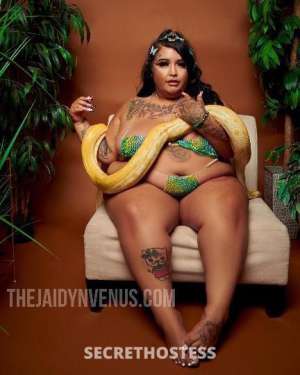 JaidynVenus 25Yrs Old Escort San Jose CA Image - 1