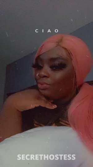 Mo3Muney 24Yrs Old Escort Clarksville TN Image - 2