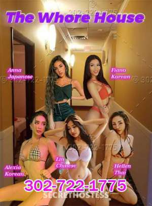 23 year old Korean Escort in Long Island NY Meet Our Sexy Babes - Five New Members Joining Our Fancy 