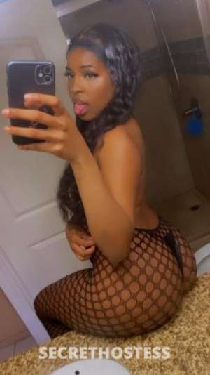 24Yrs Old Escort San Diego CA Image - 2