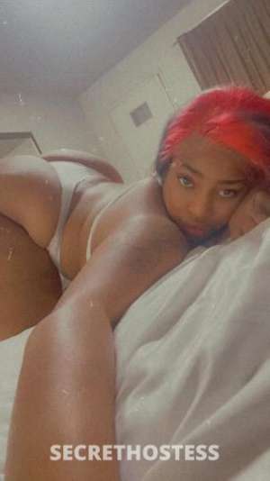 21 year old Escort in Memphis TN VIP Escort services Curvy Body, Thick Thighs, Double D Rack