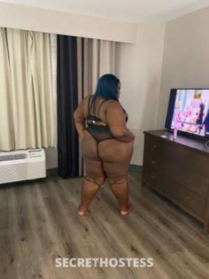 Let's get Linked and have Fun! Sexy and Sassy Companion for  in Shreveport LA