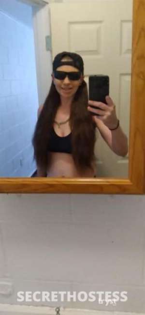 Elegant Sammy Your Sensational Companion for a Fun and  in Ann Arbor MI