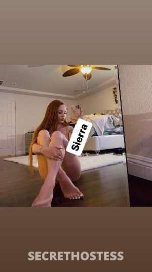Sierra 20Yrs Old Escort San Fernando Valley CA Image - 1