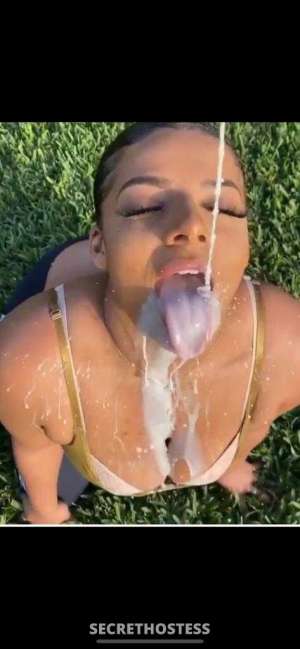 22 year old Latino Escort in Westchester FL Exciting New Arrival Sofia, Your Captivating Latina Queen is