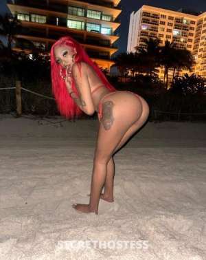 Star 23Yrs Old Escort Austin TX Image - 5