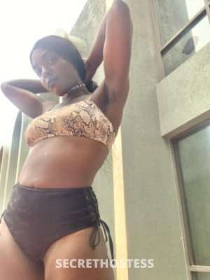 24 year old Escort in Tampa FL Experience Unmatched Pleasure with Tiffany, Your Petite 
