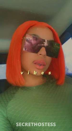 Mary 23Yrs Old Escort Dallas TX Image - 4