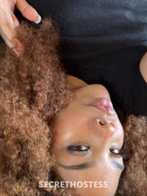 22 year old Dominican Escort in Dallas TX Thick Dominican Hottie Ready for Your Wildest Dreams - In-