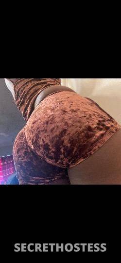 Brandii 25Yrs Old Escort Tucson AZ Image - 0
