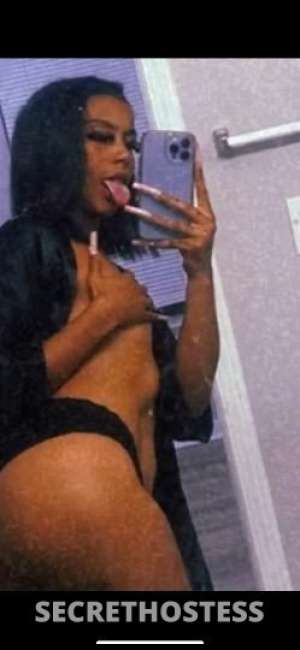 Fiji 25Yrs Old Escort Lafayette LA Image - 4