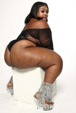 26 year old Escort in San Jose CA Experience Pure Pleasure Juicyjadee Satisfies Your Every 