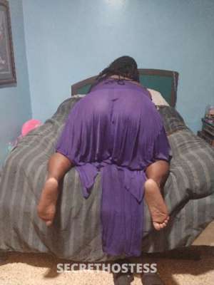 MissB 38Yrs Old Escort Tampa FL Image - 3